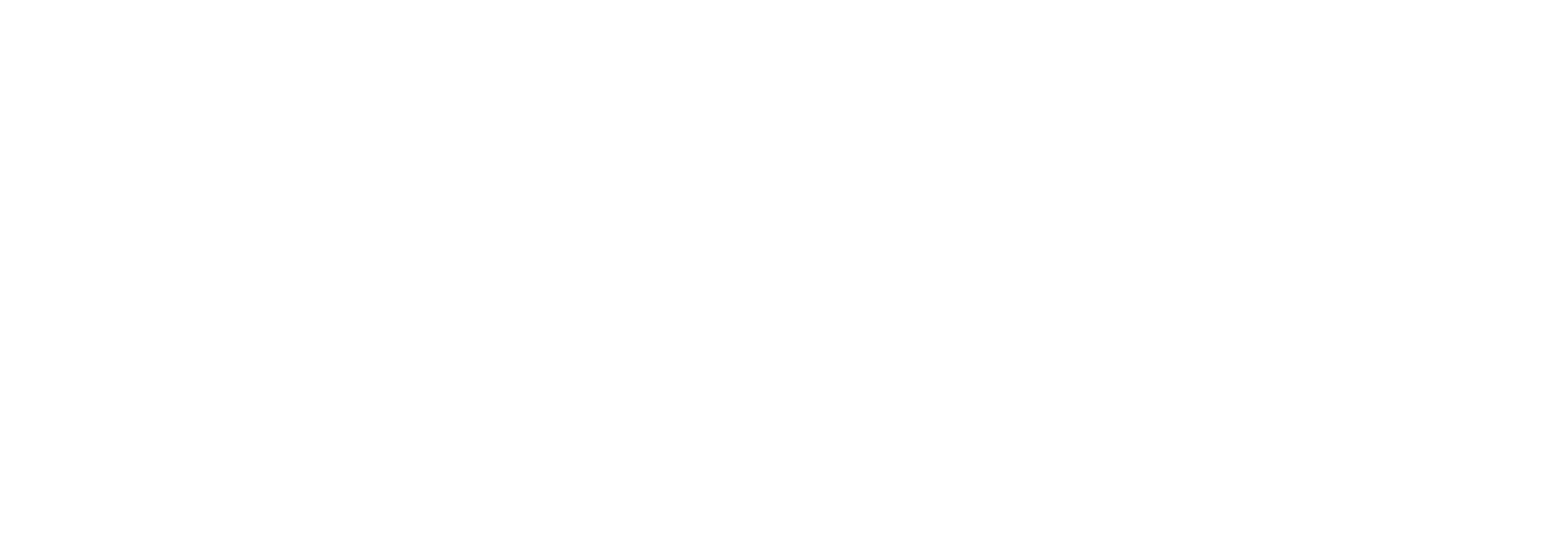 cocchi-technologies-logo-companyof